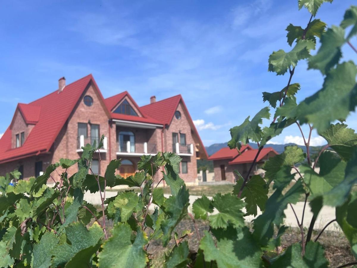 克瓦雷利 Begaso Family Winery酒店 外观 照片