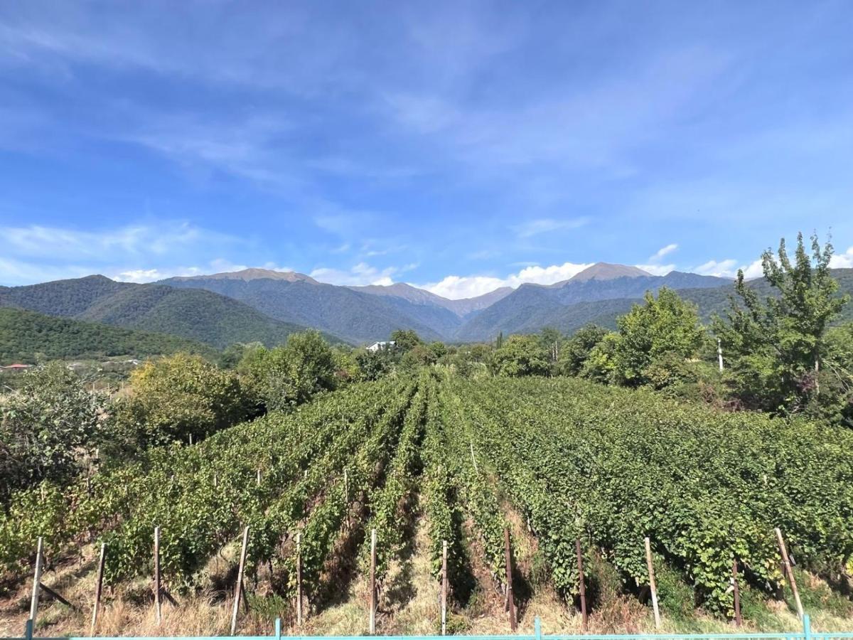 克瓦雷利 Begaso Family Winery酒店 外观 照片